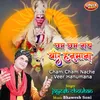 About Cham Cham Nache Dekho Veer Hanumana Song